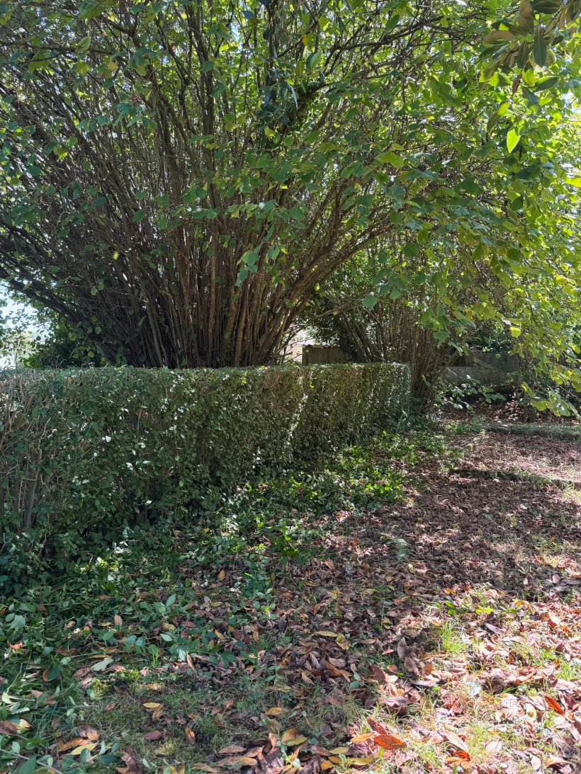 Penn Ar Garden Entretien De Jardins A Plomeur IMG 9020 1