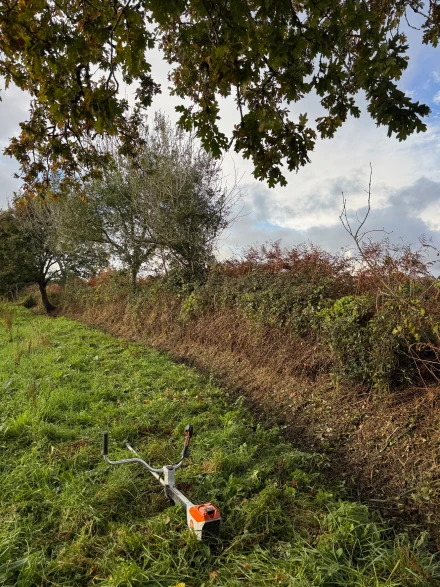 Penn Ar Garden Entretien De Jardins A Plomeur IMG 9597 2 Penn Ar Garden Entretien De Jardins A Plomeur IMG 9597 2