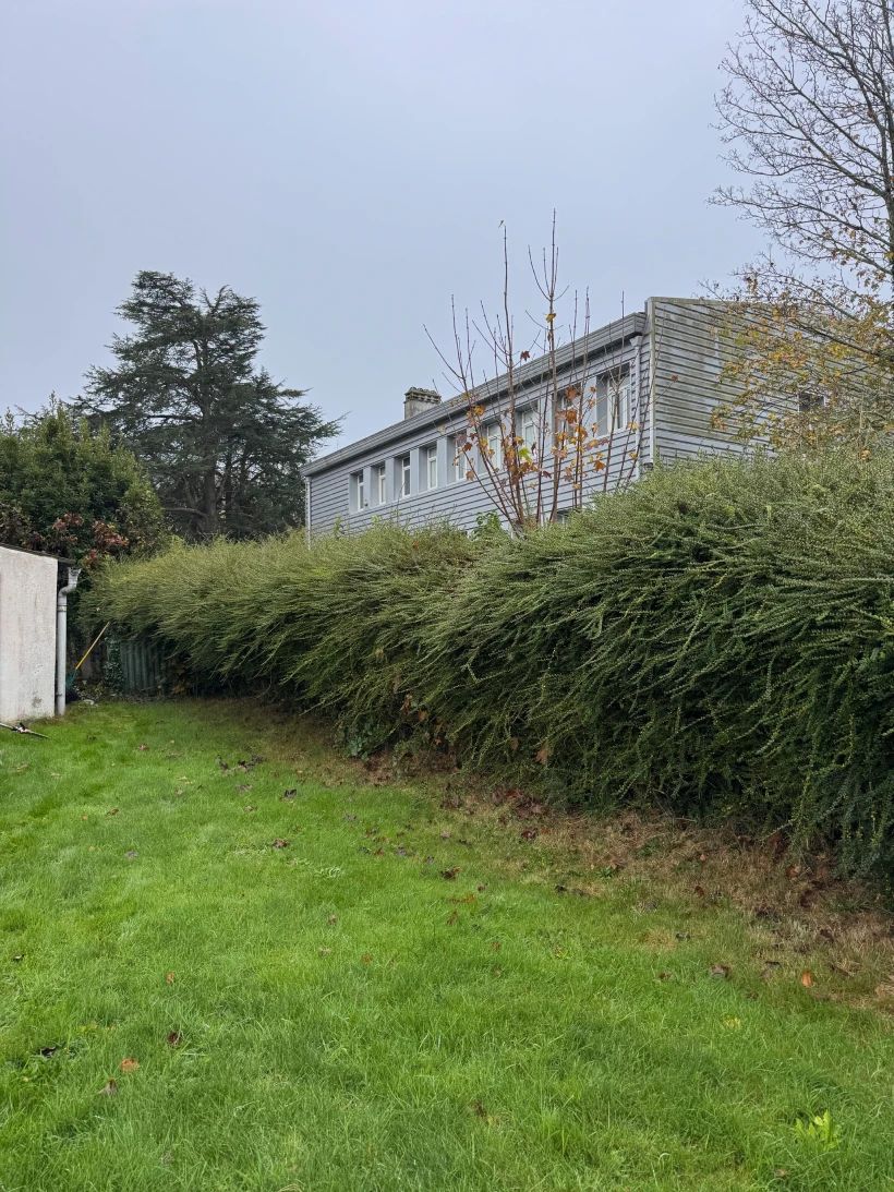 Penn Ar Garden Entretien De Jardins A Plomeur IMG 9670 1